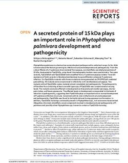 A secreted protein of 15 kDa plays an important role in Phytophthora palmivora development and pathogenicity - Nature