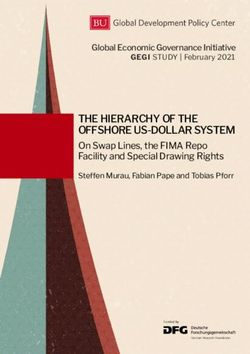 THE HIERARCHY OF THE OFFSHORE US-DOLLAR SYSTEM - On Swap Lines, the FIMA Repo Facility and Special Drawing Rights - On Swap ...