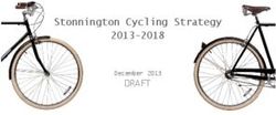 Stonnington Cycling Strategy 2013-2018 - DRAFT December 2013
