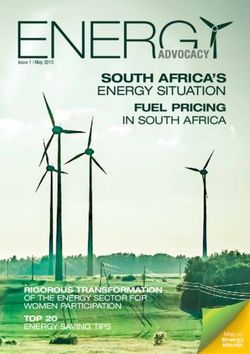 SOUTH AFRICA'S ENERGY SITUATION - FUEL PRICING IN SOUTH AFRICA - RIGOROUS TRANSFORMATION - Department Of Energy