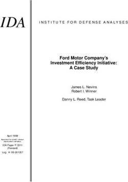 Ford Motor Company's Investment Efficiency Initiative: A Case Study