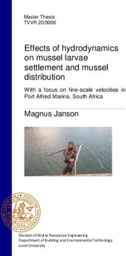 Effects of hydrodynamics on mussel larvae settlement and mussel distribution
