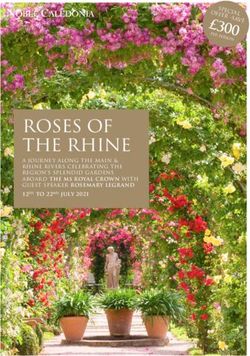 ROSES OF THE RHINE - £300 OFFER -SAVE - NOBLE CALEDONIA