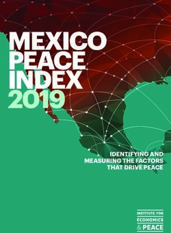 MEXICO PEACE INDEX 2019 - IDENTIFYING AND MEASURING THE FACTORS THAT DRIVE PEACE - Institute for Economics and Peace