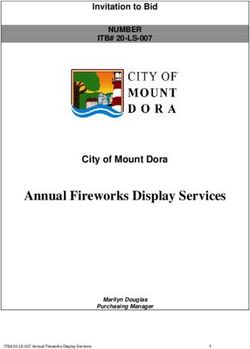 Annual Fireworks Display Services - City of Mount Dora - Invitation to Bid