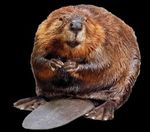 Claytor Lake State Park - 2023 Program