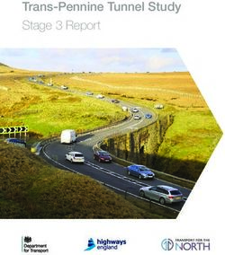 Trans-Pennine Tunnel Study Stage 3 Report - Transport for ...