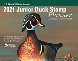 2021 Junior Duck Stamp Planner - U.S. Fish & Wildlife Service July 2020 - December 2021 - US Fish ...