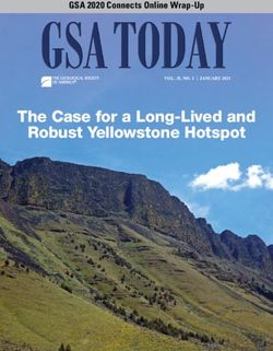 The Case for a Long-Lived and Robust Yellowstone Hotspot - GSA 2020 Connects Online Wrap-Up