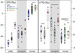Mediterranean precipitation isoscape preserved in bone collagen - Nature