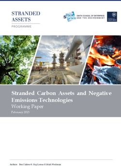 Stranded Carbon Assets and Negative Emissions Technologies - Working Paper February 2015
