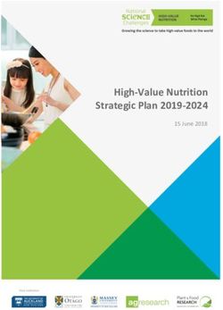 High-Value Nutrition Strategic Plan 2019-2024 - 15 June 2018 - Lightning ...