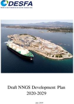 Draft NNGS Development Plan 2020-2029
