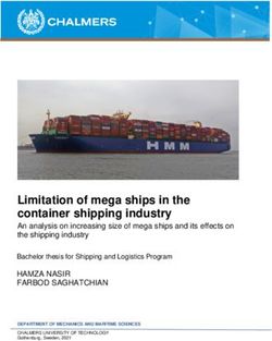 Limitation of mega ships in the container shipping industry