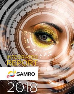 REPORT INTEGRATED - samro