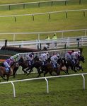 THE 2020 CHELTENHAM FESTIVAL - NORTHERN BELLE LUXURY TRAIN TO GOLD CUP DAY FRIDAY 13th MARCH 2020 - Northern Belle Luxury Train Gold ...