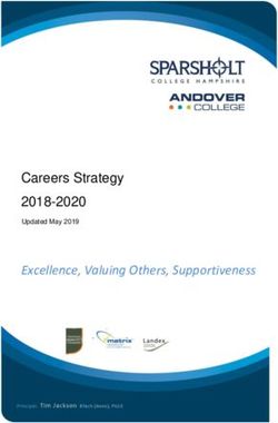 Excellence, Valuing Others, Supportiveness - Careers Strategy 2018-2020 - Sparsholt College