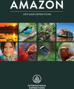 AMAZON 2019-2020 EXPEDITIONS - HubSpot