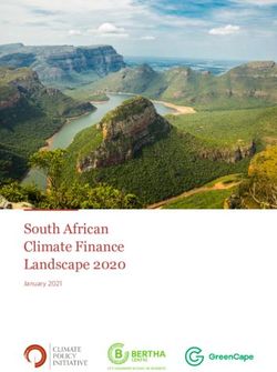 SOUTH AFRICAN CLIMATE FINANCE LANDSCAPE 2020 - JANUARY 2021 - GREENCAPE
