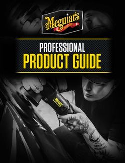 PRODUCT GUIDE PROFESSIONAL - Meguiar's