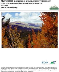 COMPREHENSIVE ECONOMIC DEVELOPMENT STRATEGY 2021