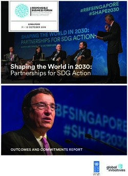 Shaping the World in 2030: Partnerships for SDG Action - OUTCOMES AND COMMITMENTS REPORT