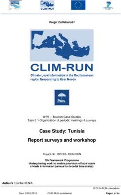 Case Study: Tunisia Report surveys and workshop