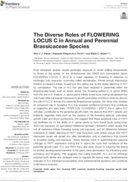 The Diverse Roles of FLOWERING LOCUS C in Annual and Perennial Brassicaceae Species