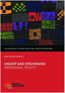 UNDRIP AND ENSHRINING ABORIGINAL RIGHTS - DISCUSSION PAPER 3 FEDERATION OF VICTORIAN TRADITIONAL OWNER CORPORATIONS - APO
