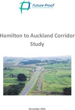 Hamilton to Auckland Corridor Study - Future Proof