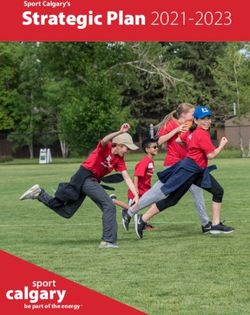 Strategic Plan 2021-2023 - Sport Calgary's - be part of the energy