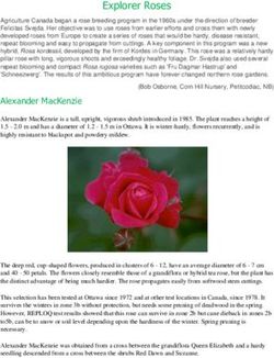Explorer Roses - Canadian Rose Society