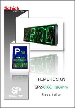 NUMERIC SIGN SP2-6XX / 180mm - Presentation