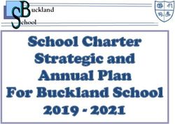 School Charter Strategic and Annual Plan For Buckland School 2019 2021 - uckland