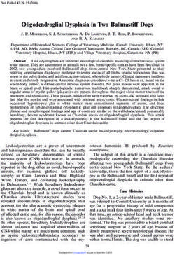 Oligodendroglial Dysplasia in Two Bullmastiff Dogs