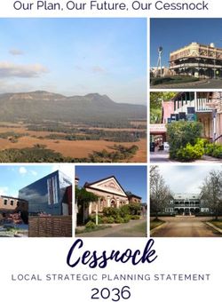 Our Plan, Our Future, Our Cessnock - LOCAL STRATEGIC PLANNING STATEMENT