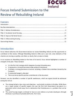 Focus Ireland Submission to the Review of Rebuilding Ireland