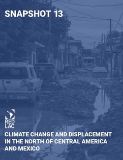 SNAPSHOT 13 - RED LAC CLIMATE CHANGE AND DISPLACEMENT IN THE NORTH OF CENTRAL AMERICA AND MEXICO - Boletines REDLAC