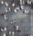 2023 SRB WORK PROGRAMME - srb.europa.eu - Single Resolution Board