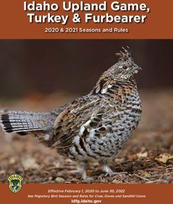 Idaho Upland Game, Turkey & Furbearer - 2020 & 2021 Seasons and Rules - idfg.idaho.gov