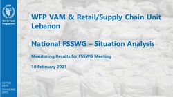 WFP VAM & Retail/Supply Chain Unit Lebanon National FSSWG - Situation Analysis - Monitoring Results for FSSWG Meeting