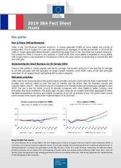 2019 SBA Fact Sheet FRANCE - Europa EU