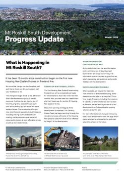 Progress Update Mt Roskill South Development - Mt Roskill Development