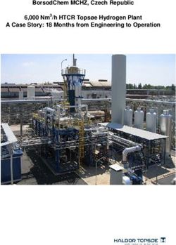 BorsodChem MCHZ, Czech Republic 6,000 Nm3/h HTCR Topsøe Hydrogen Plant A Case Story: 18 Months from Engineering to Operation