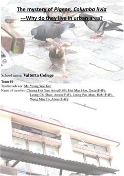 The mystery of Pigeon, Columba livia -Why do they live in urban area?