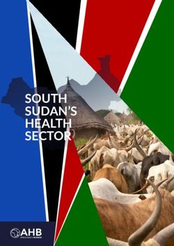 SOUTH SUDAN'S HEALTH SECTOR - www.ahb.co.ke - Africa Health Business