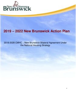 2019 2022 New Brunswick Action Plan - 2018-2028 CMHC - New Brunswick Bilateral Agreement Under the National Housing Strategy - Government of ...