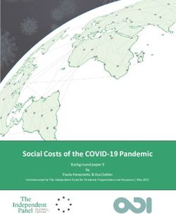 Social Costs of the COVID-19 Pandemic - Background paper 9 by Paola Pereznieto & Ilse Oehler