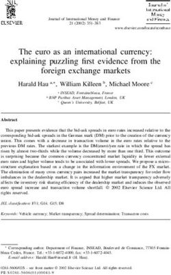 The euro as an international currency: explaining puzzling first evidence from the foreign exchange markets