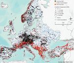 The Same Coin: Hydropower Dams and the Biodiversity Crisis